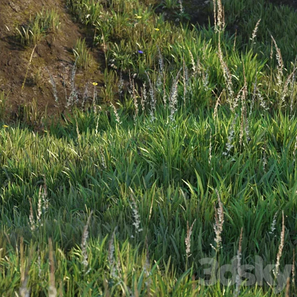 3DSky - Grass on the Slope - Image 4