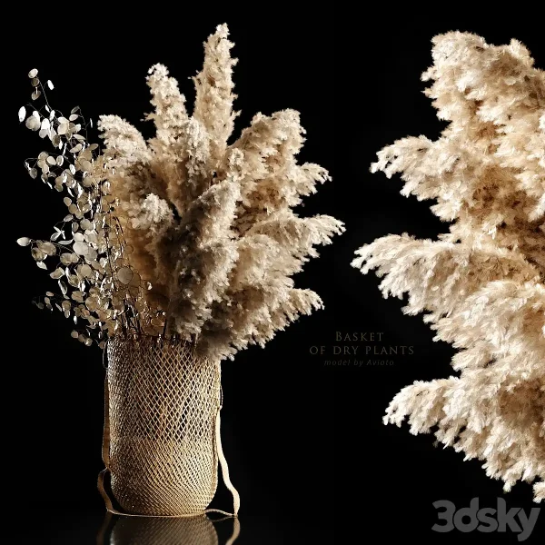 3DSky - Basket Of Dry Plants