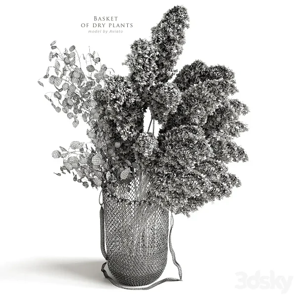 3DSky - Basket Of Dry Plants - Image 3