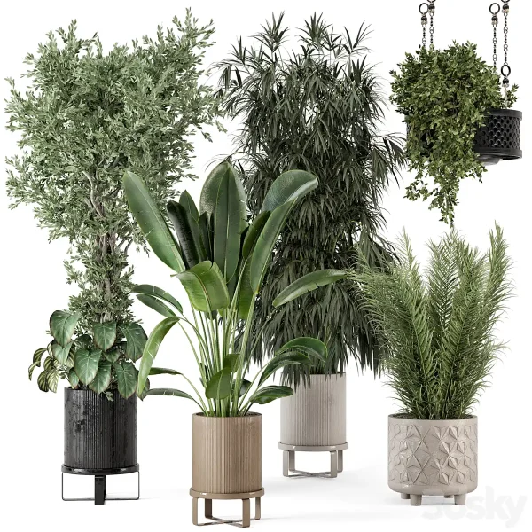3DSky - Indoor Plants in Ferm Living Bau Pot Large Set 474