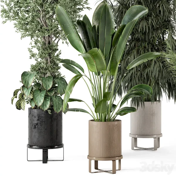 3DSky - Indoor Plants in Ferm Living Bau Pot Large Set 474 - Image 2