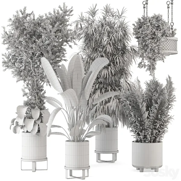 3DSky - Indoor Plants in Ferm Living Bau Pot Large Set 474 - Image 3