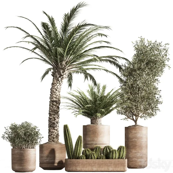 3DSky - Indoor Plant Set 41