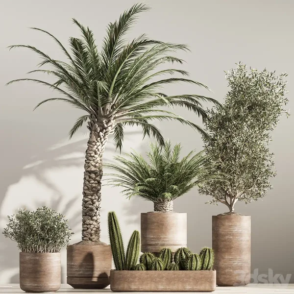 3DSky - Indoor Plant Set 41 - Image 2