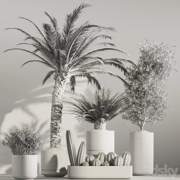 3DSky - Indoor Plant Set 41 - Image 4