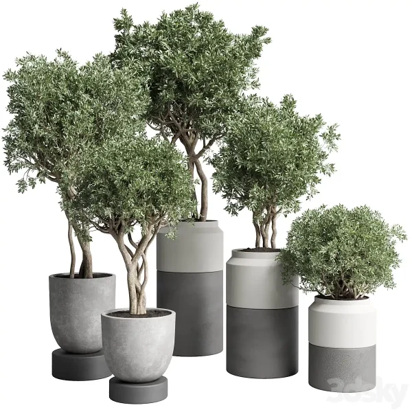 3DSky - Collection Indoor Plant 189 Concrete Dirt Vase Pot Tree