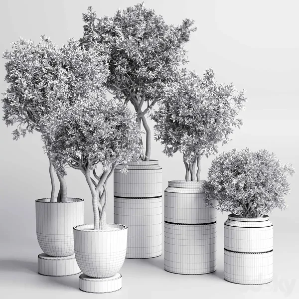 3DSky - Collection Indoor Plant 189 Concrete Dirt Vase Pot Tree - Image 4