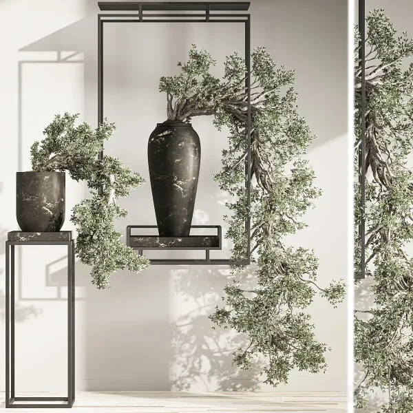 3DSky - Bonsai And Indoor Plant Set 43 - Image 3