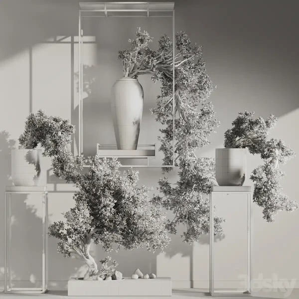 3DSky - Bonsai And Indoor Plant Set 43 - Image 5