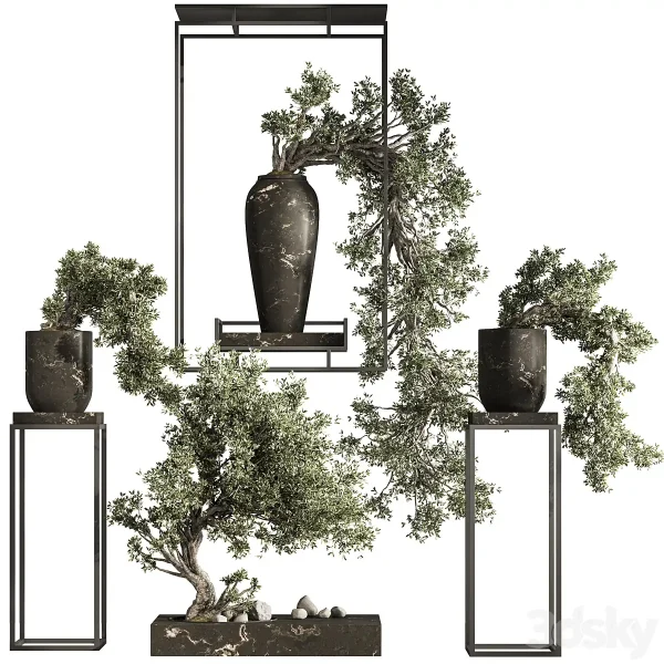 3DSky - Bonsai And Indoor Plant Set 43