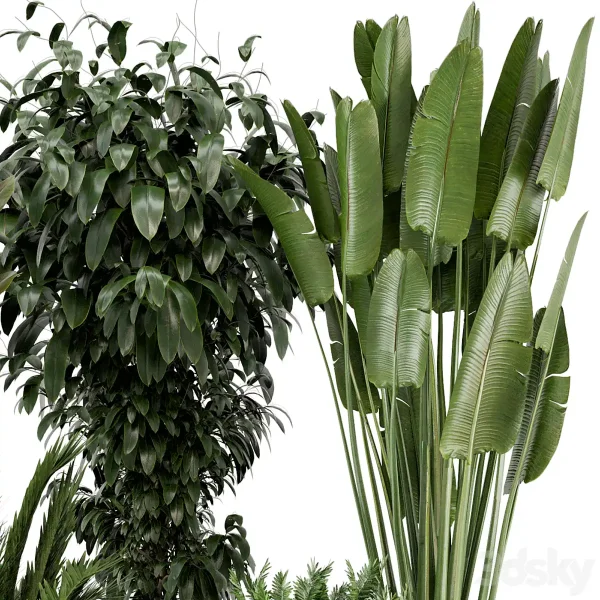 3DSky - Indoor Plants in Rusty Concrete Pot Set 542 - Image 2