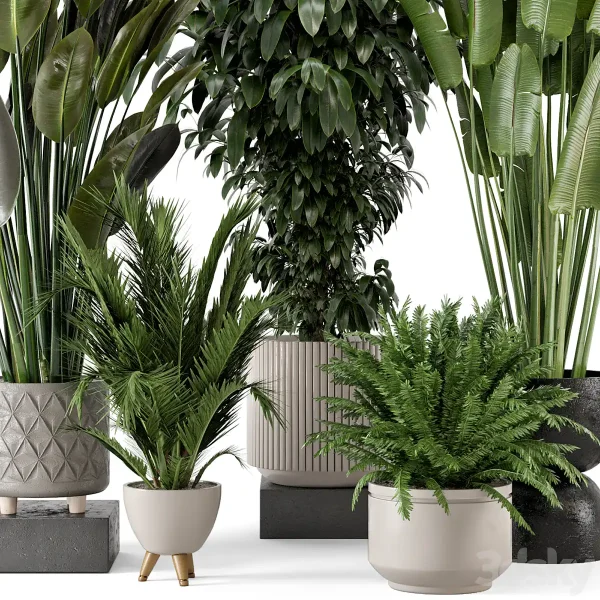 3DSky - Indoor Plants in Rusty Concrete Pot Set 542 - Image 3