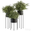 3DSky - Indoor Plant Set 371