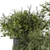 3DSky - Indoor Plant Set 371 - Image 2