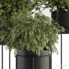 3DSky - Indoor Plant Set 371 - Image 3