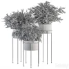 3DSky - Indoor Plant Set 371 - Image 5