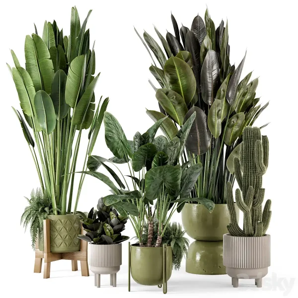 3DSky - Indoor Plants in Standing Legs Small Bowl Concrete Pot Set 563