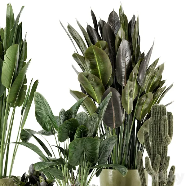 3DSky - Indoor Plants in Standing Legs Small Bowl Concrete Pot Set 563 - Image 2