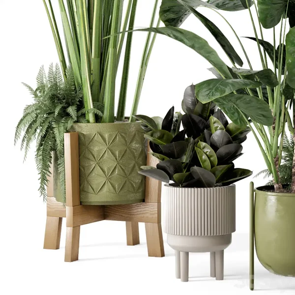 3DSky - Indoor Plants in Standing Legs Small Bowl Concrete Pot Set 563 - Image 3