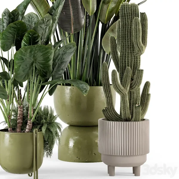 3DSky - Indoor Plants in Standing Legs Small Bowl Concrete Pot Set 563 - Image 4