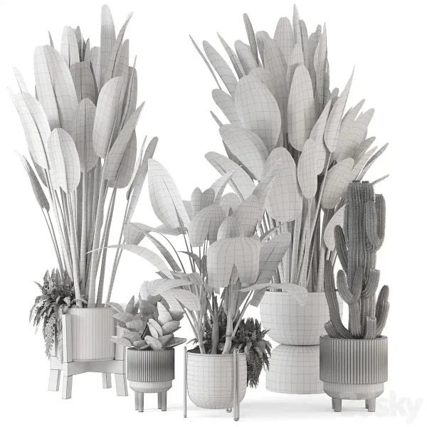 3DSky - Indoor Plants in Standing Legs Small Bowl Concrete Pot Set 563 - Image 5