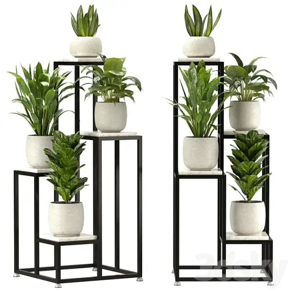 3DSky - Collection Indoor Plants Set Nim08