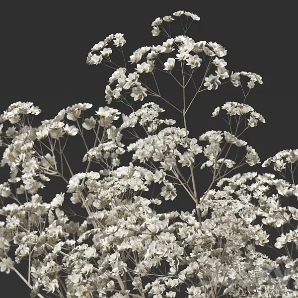 3DSky - Bouquet 36 - Image 4