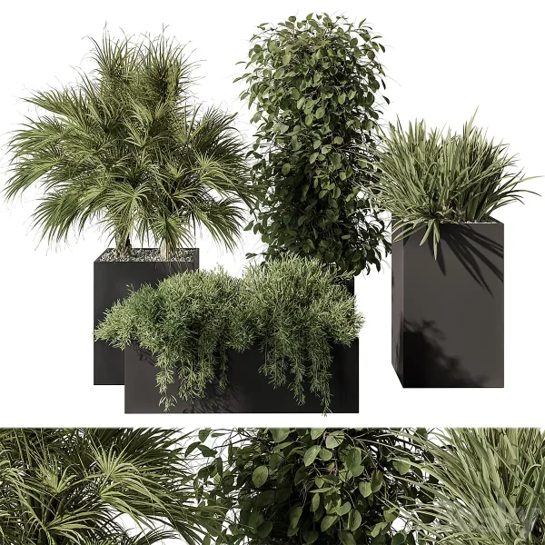 3DSky - Outdoor Plant Set 402 Plant Set in Plant Box