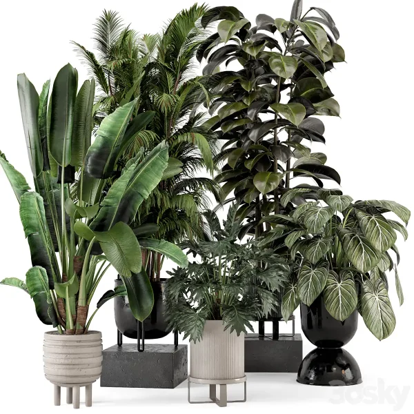 3DSky - Indoor Plants in Ferm Living Bau Pot Large Set 740