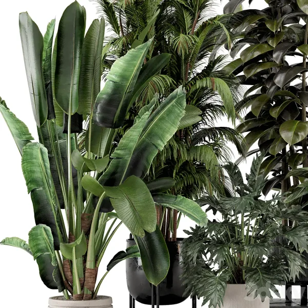 3DSky - Indoor Plants in Ferm Living Bau Pot Large Set 740 - Image 2