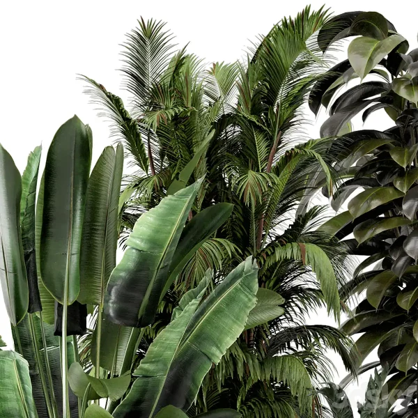 3DSky - Indoor Plants in Ferm Living Bau Pot Large Set 740 - Image 3