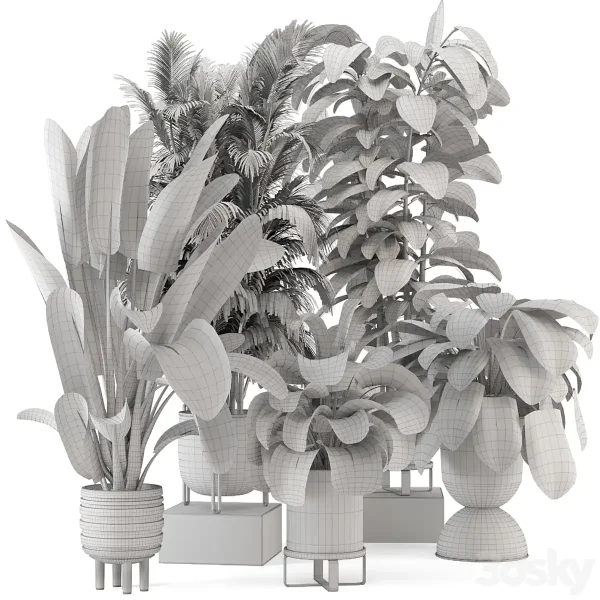 3DSky - Indoor Plants in Ferm Living Bau Pot Large Set 740 - Image 4