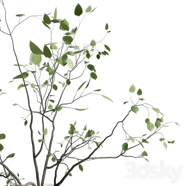 3DSky - Branches Plant with Galss Vase White Bouquet 22 - Image 3