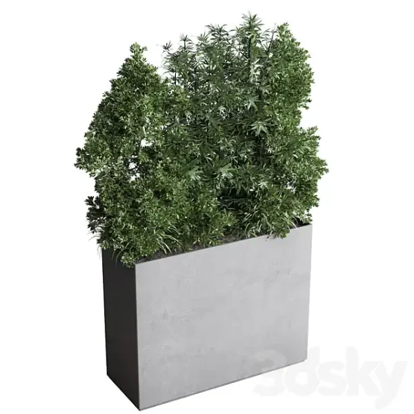 3DSky - Collection Indoor Plant 251 - Image 3