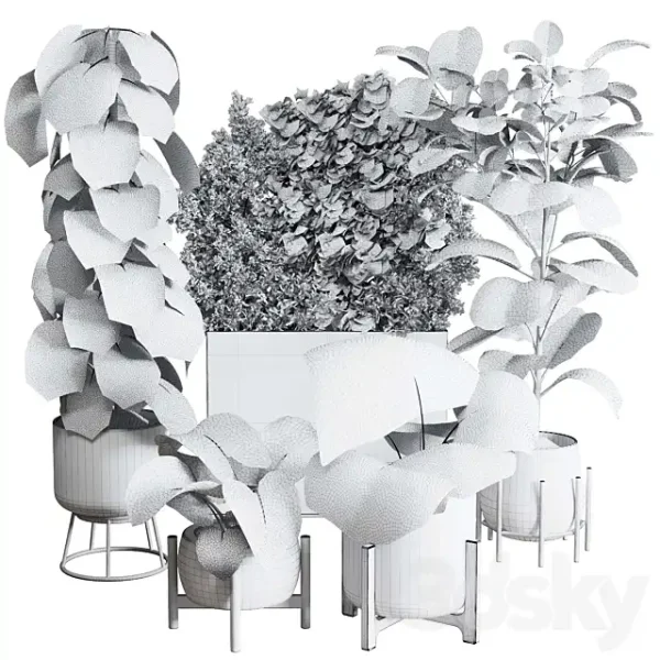 3DSky - Collection Indoor Plant 251 - Image 5