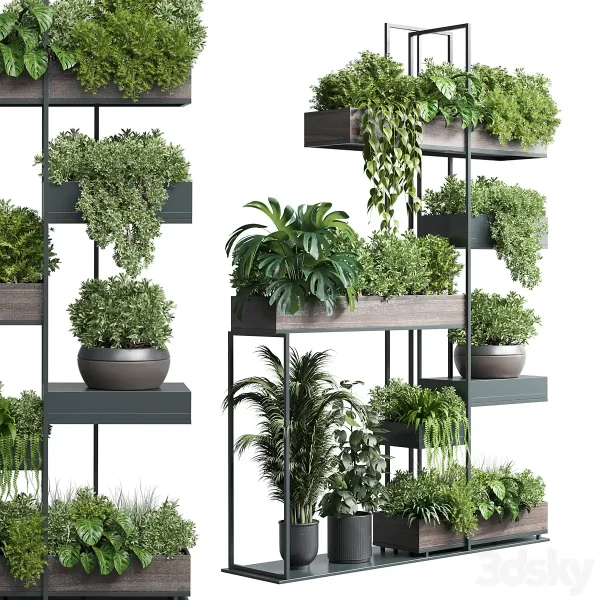 3DSky - Standing Metal Shelf with a Set of Plants - Image 3
