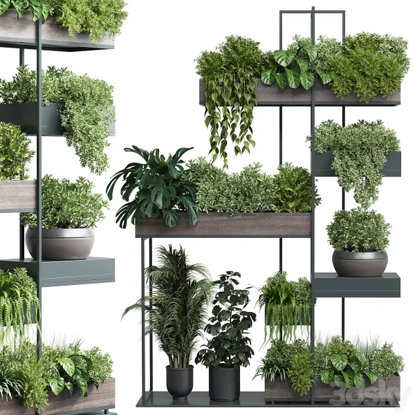 3DSky - Standing Metal Shelf with a Set of Plants