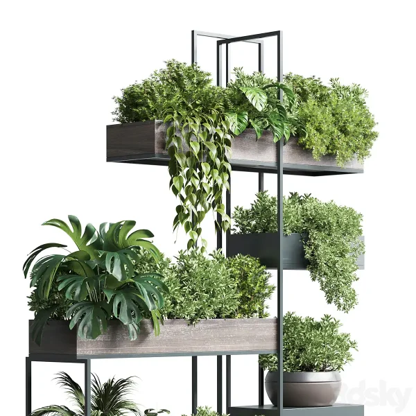 3DSky - Standing Metal Shelf with a Set of Plants - Image 2