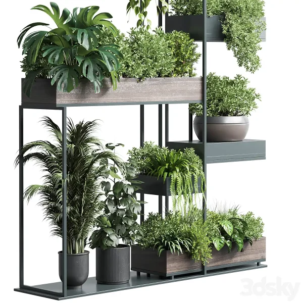 3DSky - Standing Metal Shelf with a Set of Plants - Image 4