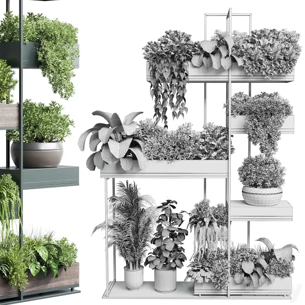 3DSky - Standing Metal Shelf with a Set of Plants - Image 5