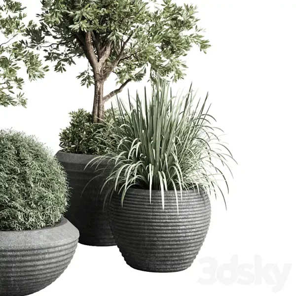 3DSky - Collection Indoor Outdoor Plant 120 - Image 3