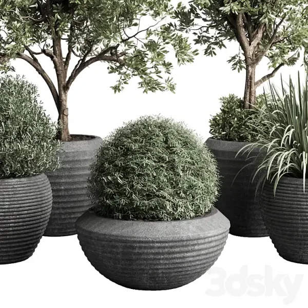 3DSky - Collection Indoor Outdoor Plant 120 - Image 4