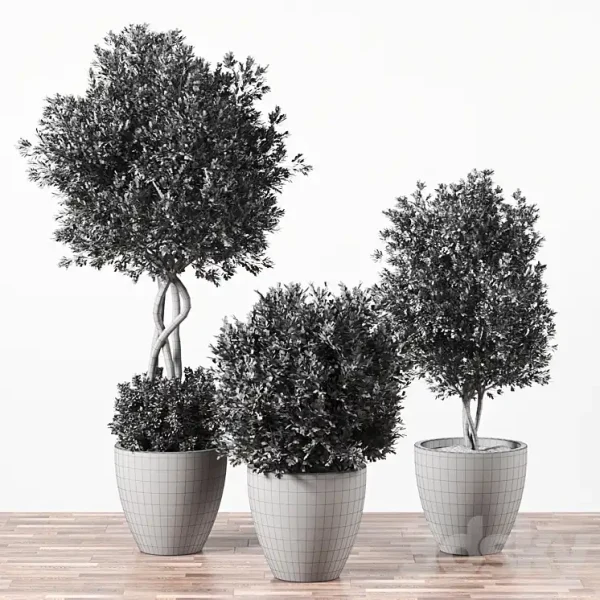 3DSky - Indoor Plant Set 01 - Image 3