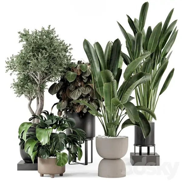 3DSky - Indoor Plants in Ferm Living Bau Pot Large Set 1204