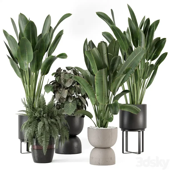 3DSky - Indoor Plants in Ferm Living Bau Pot Large Set 1256