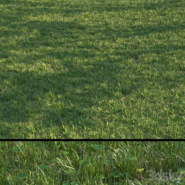 Pro 3DSky - Grass Set04