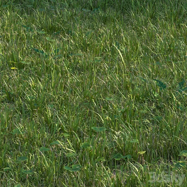 Pro 3DSky - Grass Set04 - Image 3