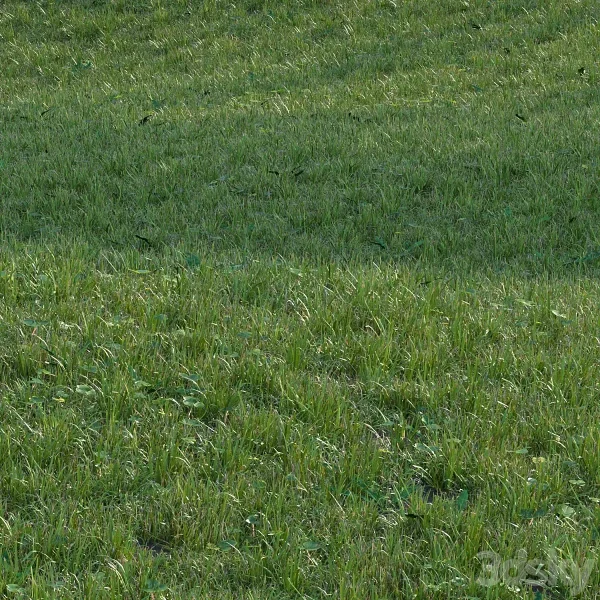 Pro 3DSky - Grass Set04 - Image 2