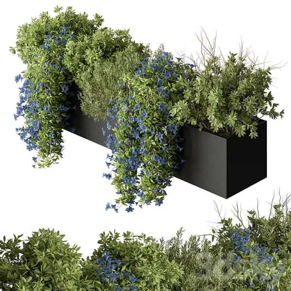 3DSky - Hanging Plant Outdoor Plants 503 - Image 2