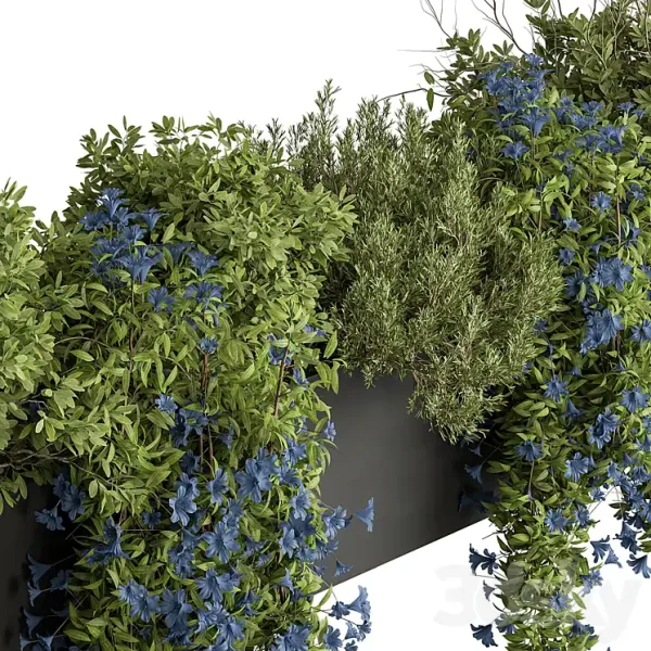 3DSky - Hanging Plant Outdoor Plants 503 - Image 3